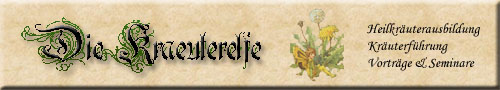 Datei:Kraeuterelfe.jpg